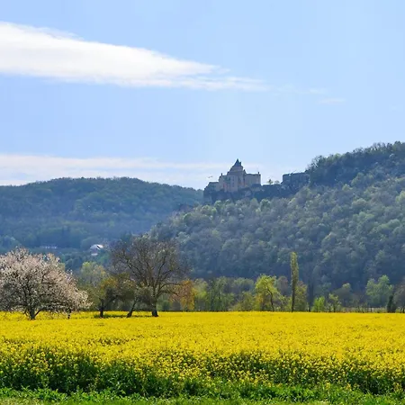 Cozy In With Wifi * Lavercantière